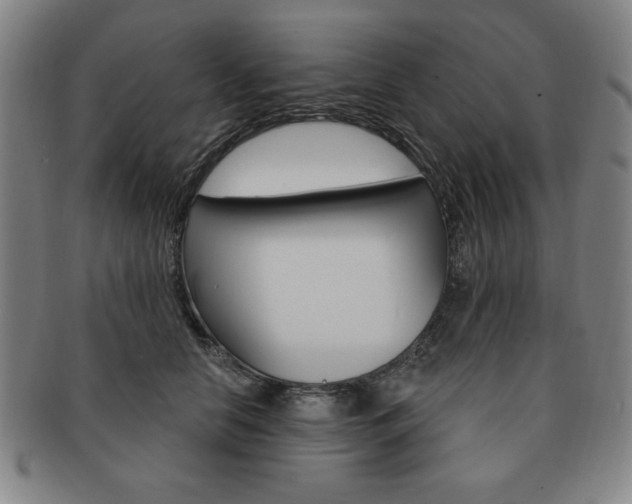 X0000091640658200708230950