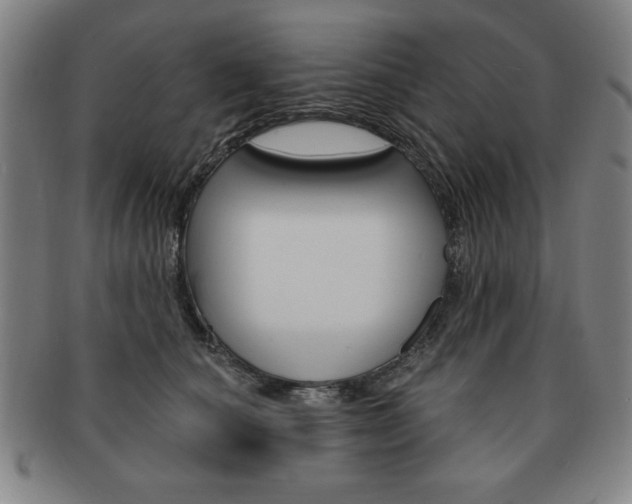 X0000091640660200708230950