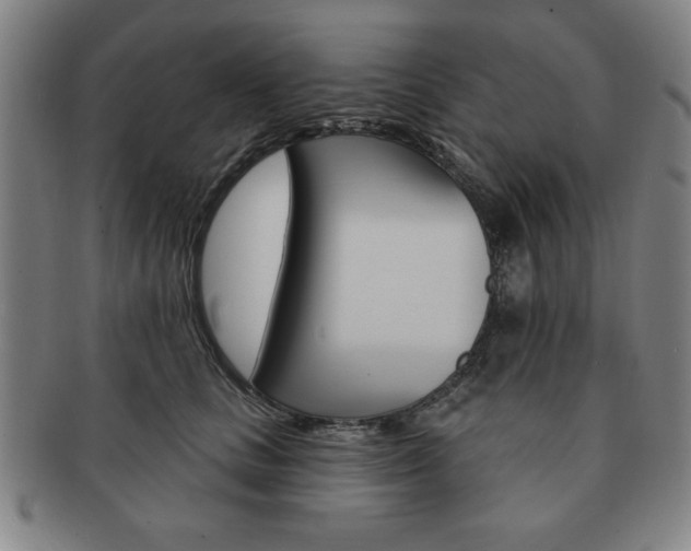 X0000091640661200708230950