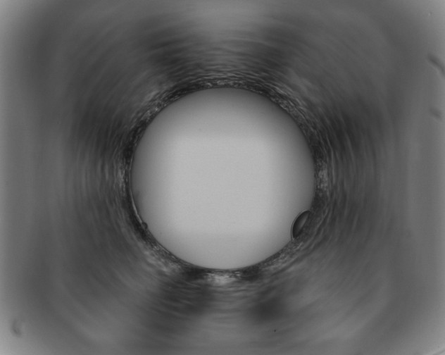 X0000091640662200708230950