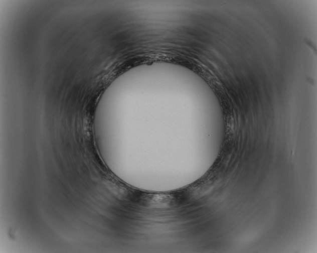 X0000091640663200708230950