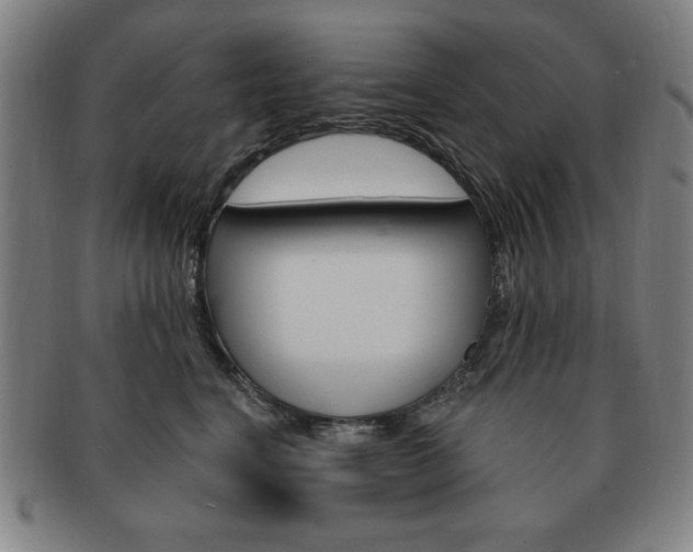 X0000091640664200708230950
