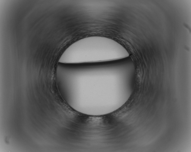 X0000091640665200708230950