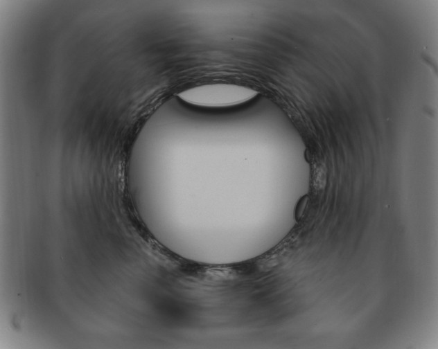 X0000091640666200708230950