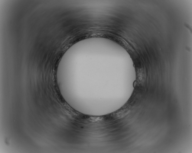 X0000091640667200708230950