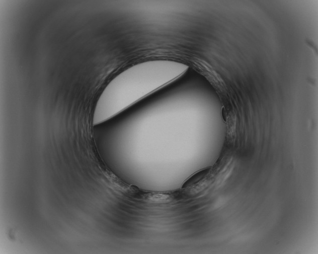 X0000091640669200708230950