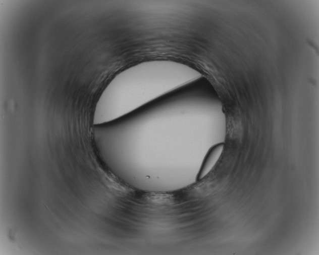 X0000091640670200708230950