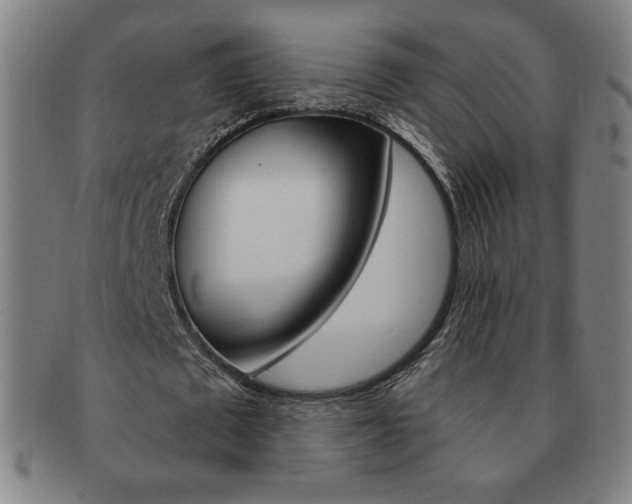 X0000091640673200708230949