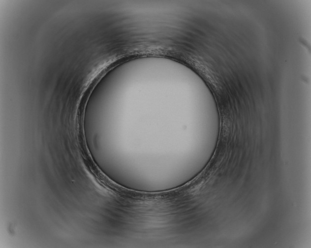X0000091640674200708230949