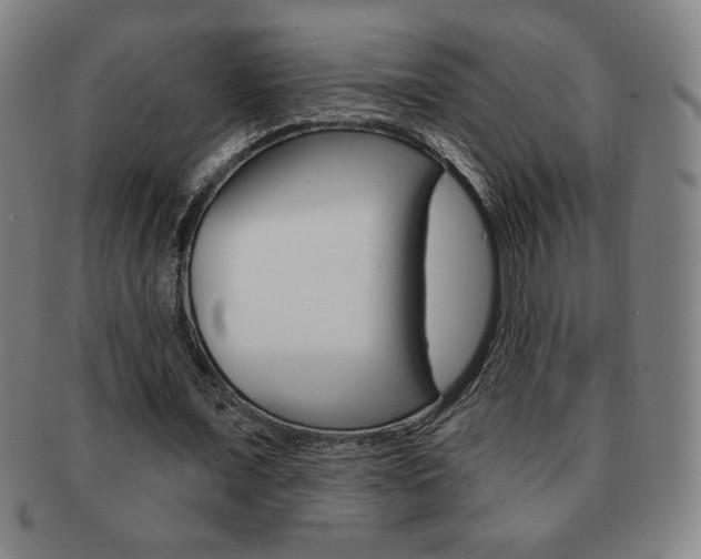 X0000091640675200708230949
