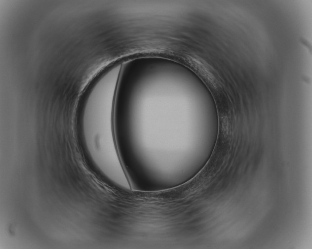 X0000091640676200708230949