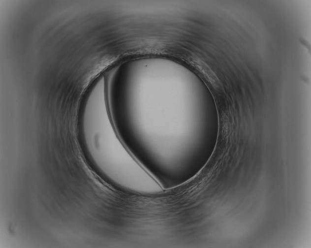 X0000091640677200708230949