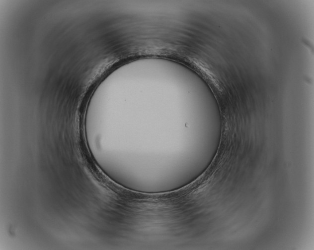 X0000091640678200708230949