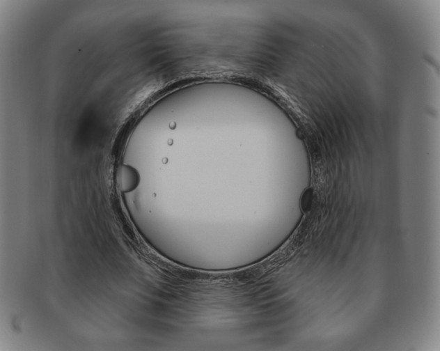 X0000091640679200708230949