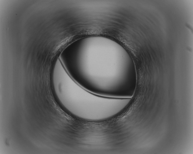 X0000091640681200708230949