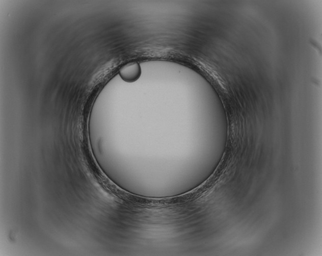 X0000091640682200708230949