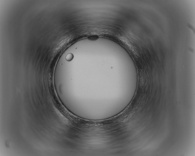 X0000091640683200708230949