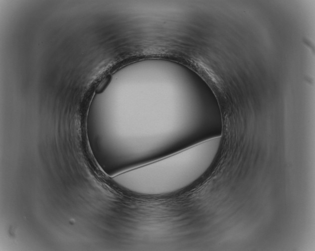 X0000091640684200708230949