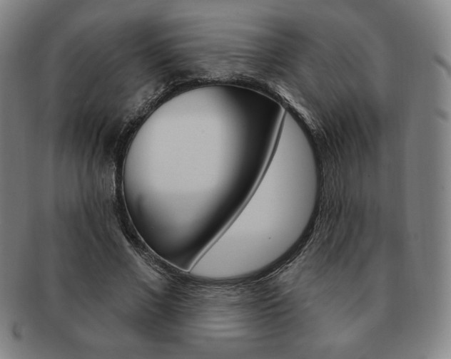 X0000091640685200708230949