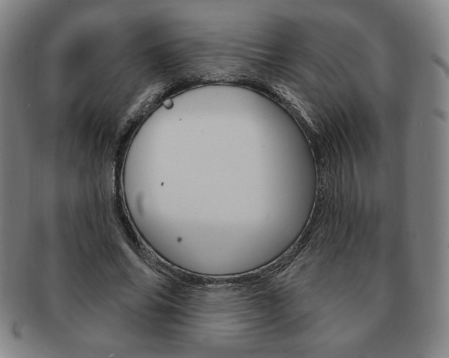 X0000091640686200708230949