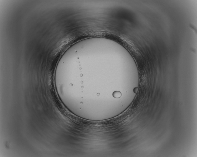 X0000091640687200708230949