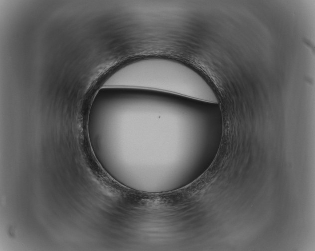 X0000091640688200708230949