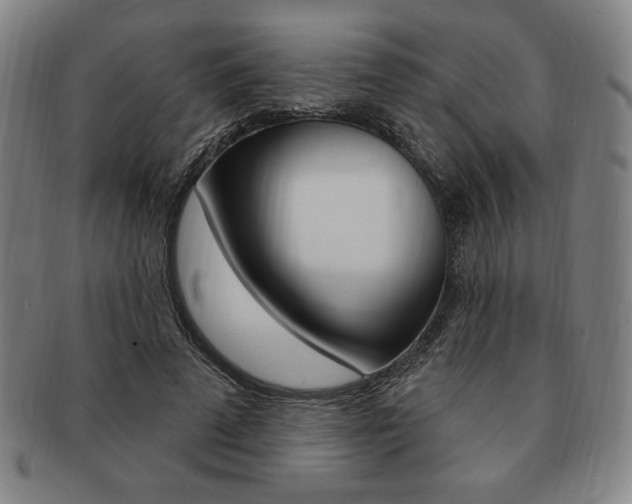 X0000091640689200708230949