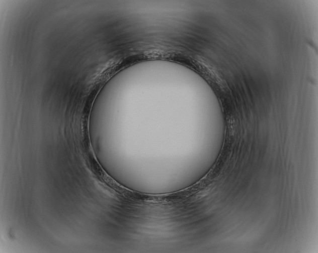 X0000091640690200708230949