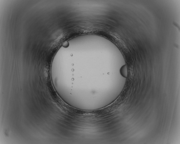 X0000091640691200708230949
