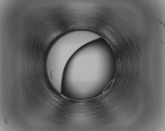 X0000091640692200708230949