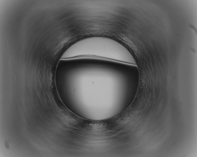 X0000091640693200708230949