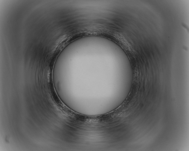 X0000091640694200708230949