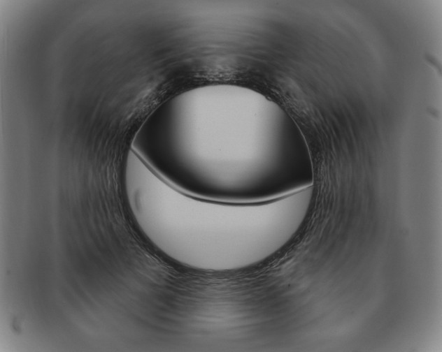 X0000091640697200708230949