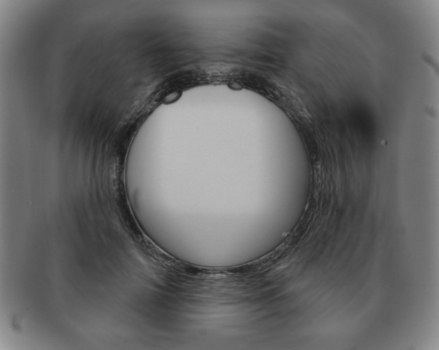 X0000091640698200708230949