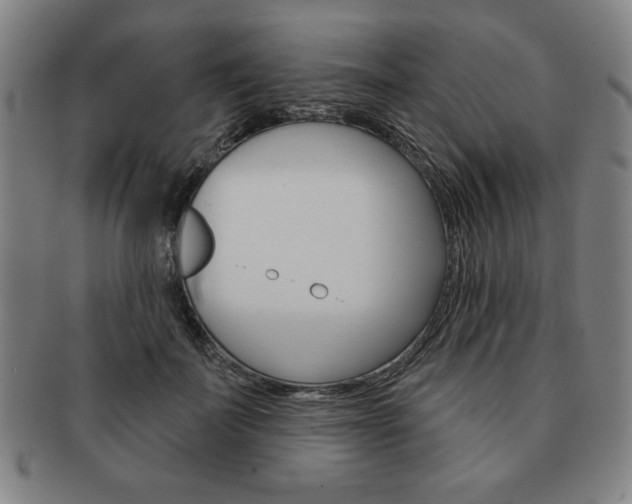 X0000091640699200708230949