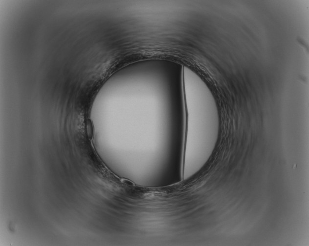 X0000091640700200708230949