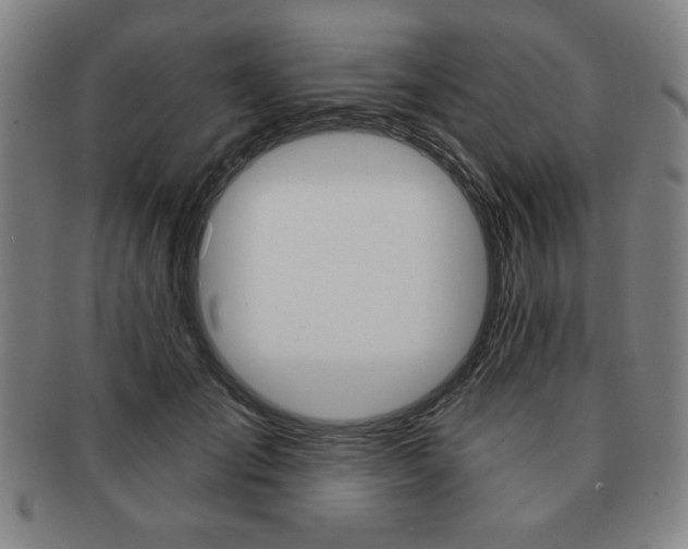 X0000091640701200708230949