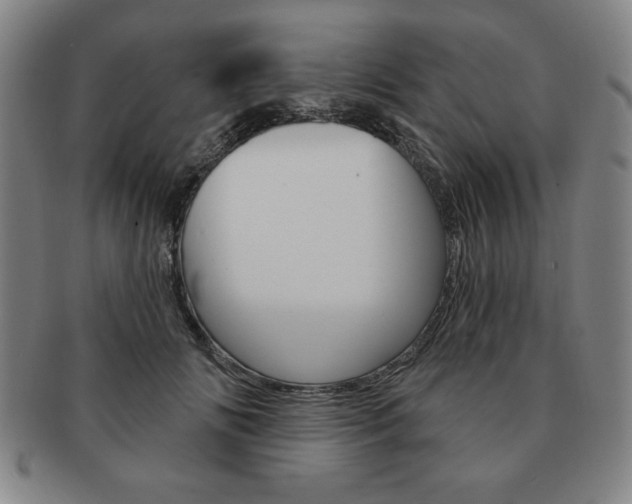X0000091640702200708230949