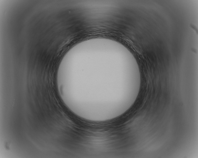 X0000091640705200708230949