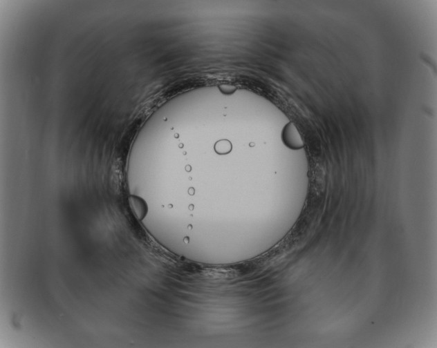 X0000091640707200708230949