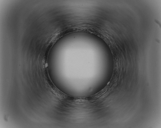 X0000091640708200708230949