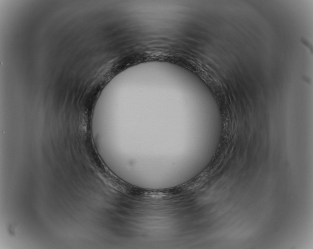 X0000091640710200708230949