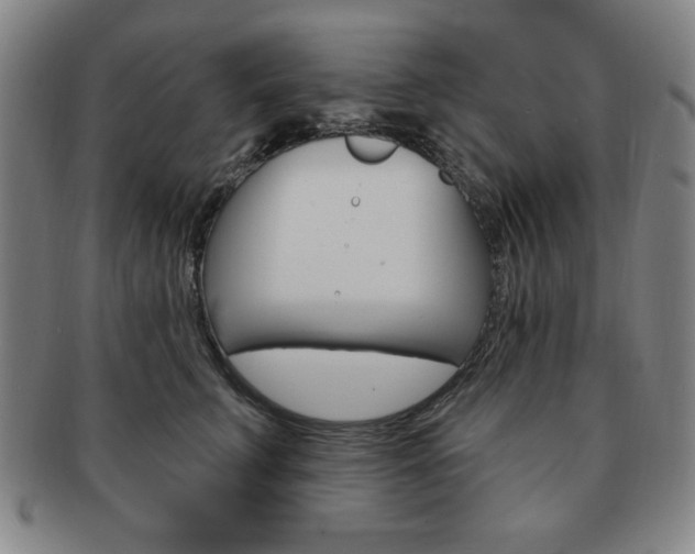 X0000091640711200708230949