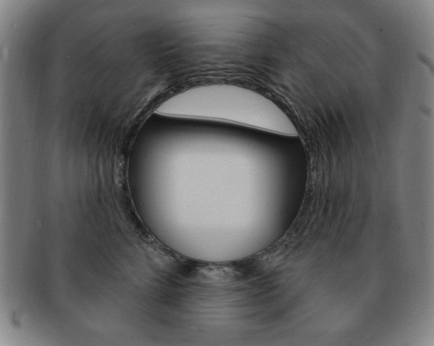 X0000091640712200708230949