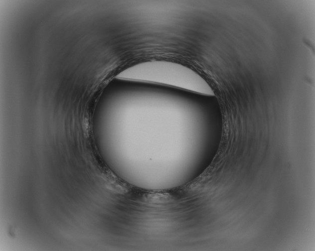 X0000091640716200708230949