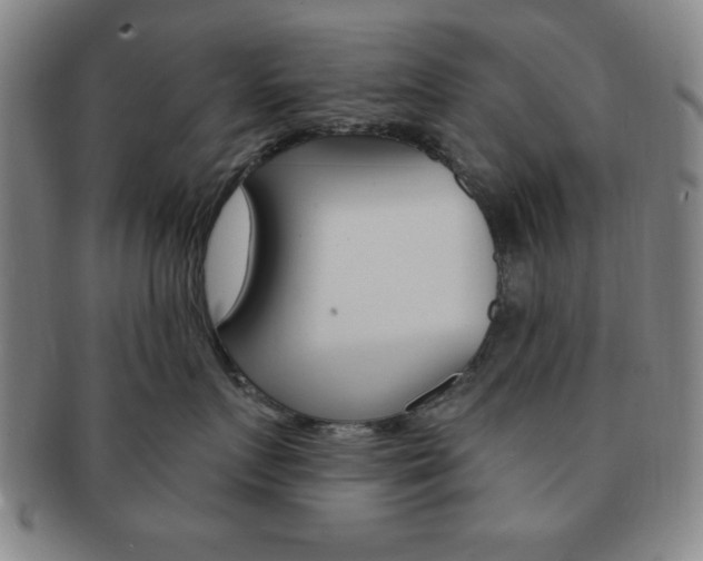 X0000091640719200708230948