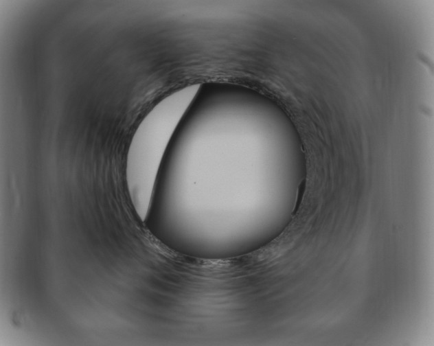 X0000091640720200708230948