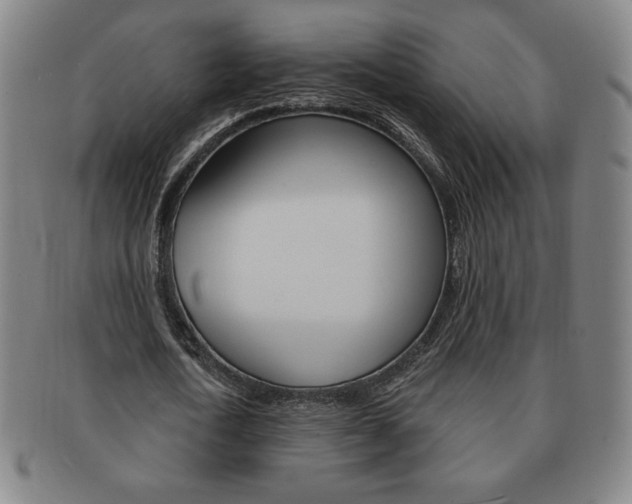 X0000091640722200708230948