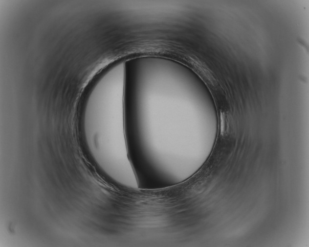 X0000091640723200708230948