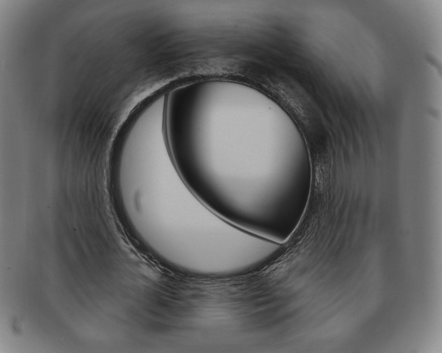 X0000091640724200708230948